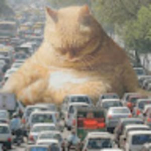 Meet your Posher, Sydney